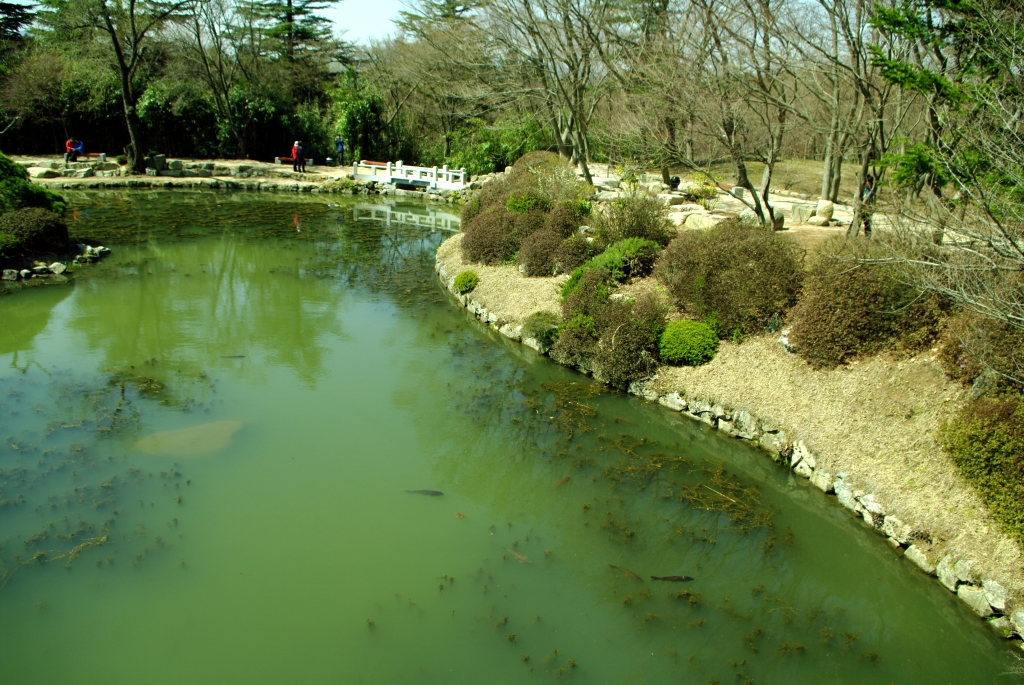Пруд Ёнджи на территории храма Пульгукса, скоторым связана
