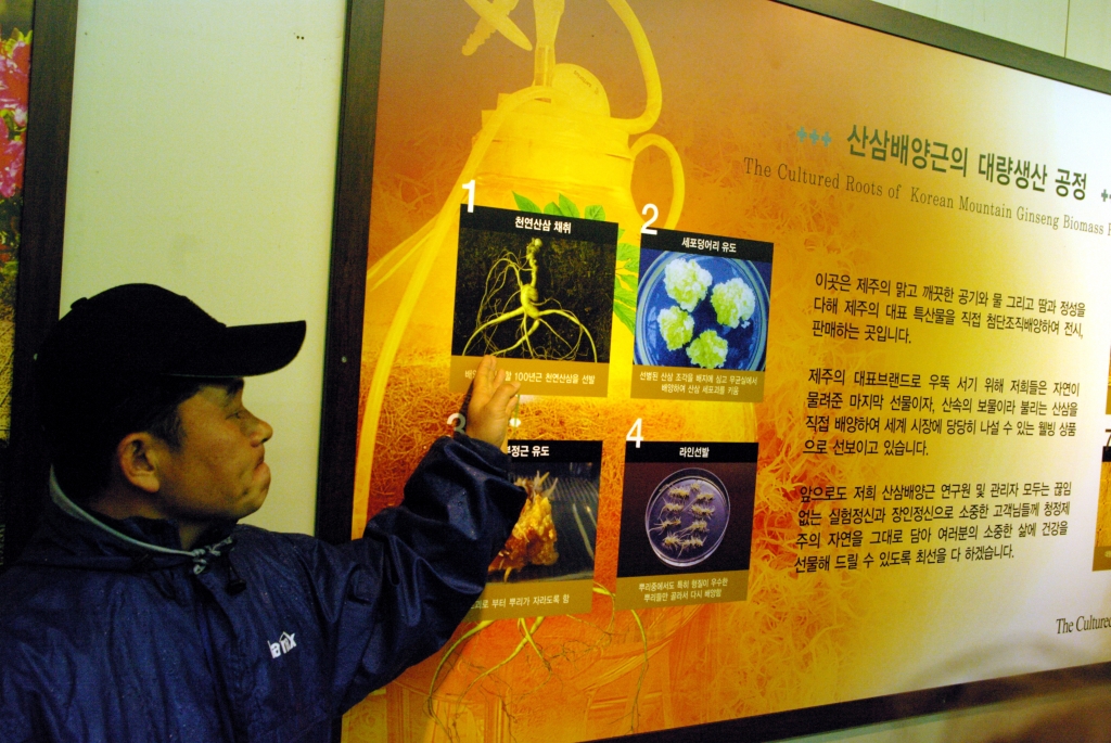 Сад-музей Сокпучак. Начало экскурсии по заводу, где искусственно