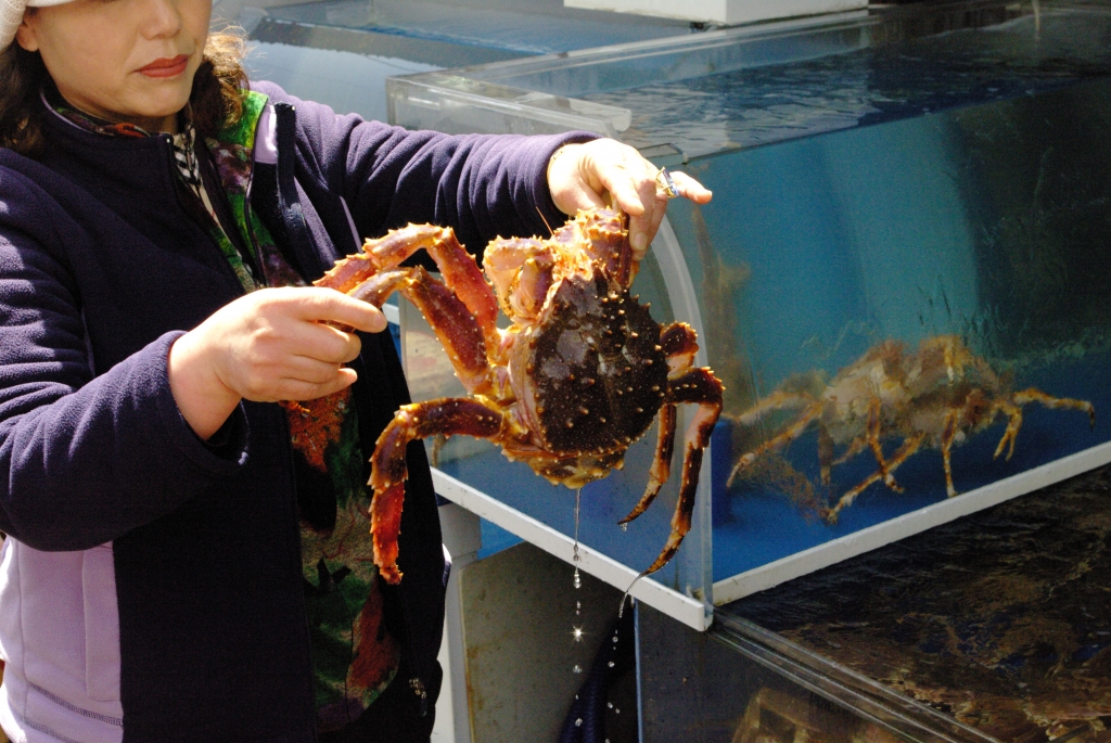 Вот такими крабами торгуют на рыбном рынке Пусана.