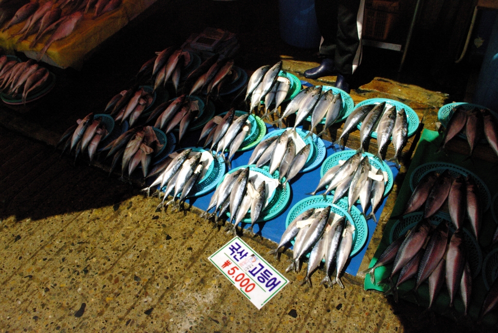 Рыбный рынок в Пусане. Цены на рыбу весьма