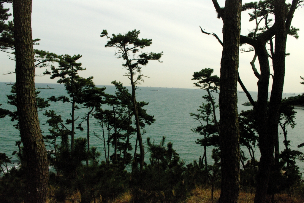 Между автостоянкой и маяком Ульги - широкая аллея