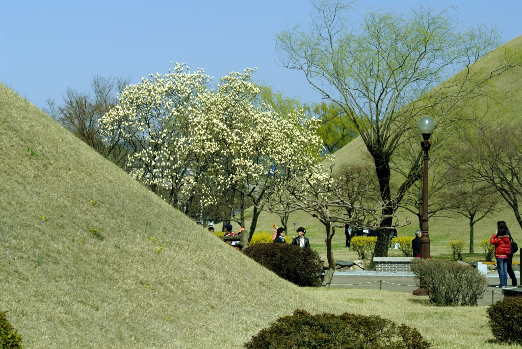 В парке Тхумули 23 кургана с захоронениями.