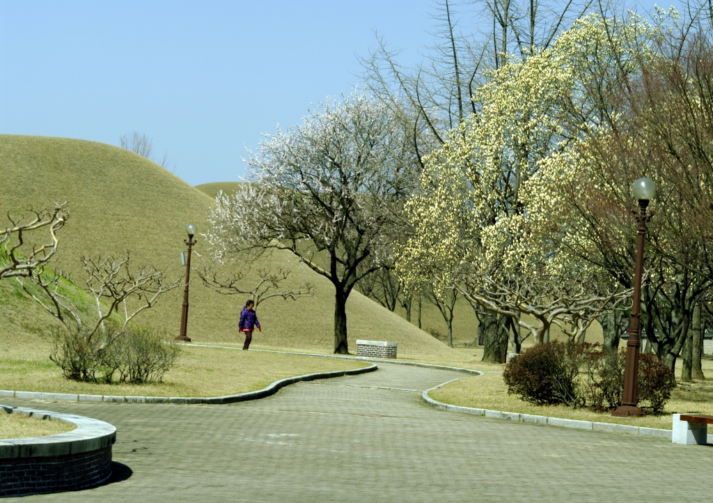 Дорожки парка Тхумули (Дэрынвон).